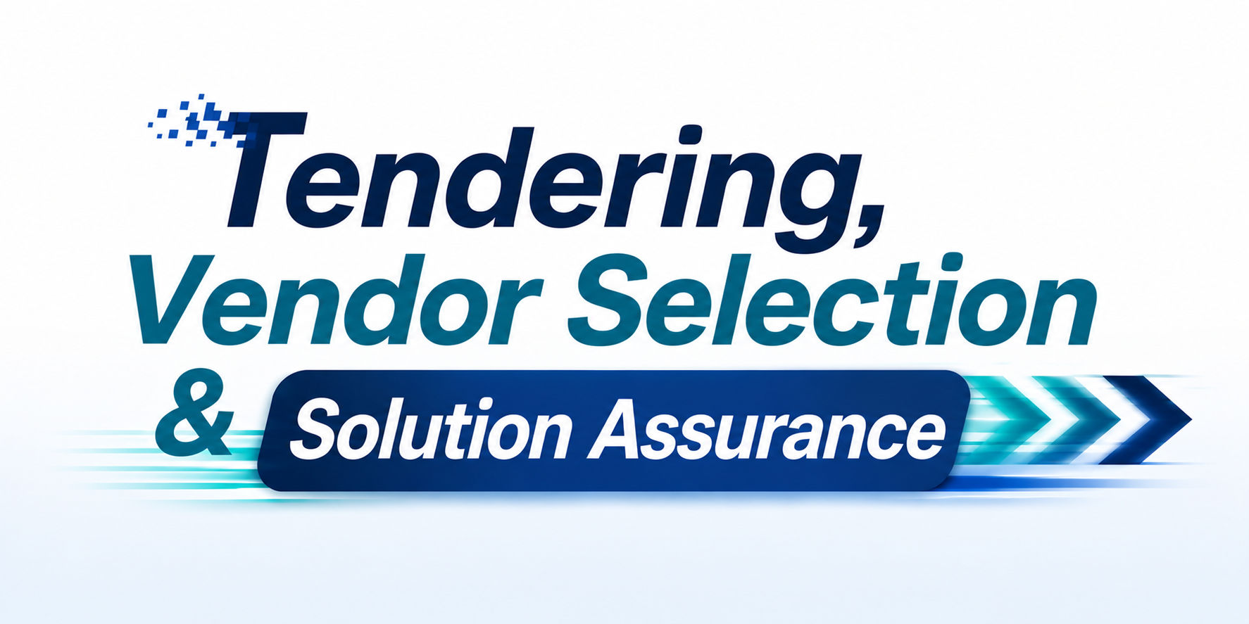Tendering, Vendor Selection & Solution Assurance